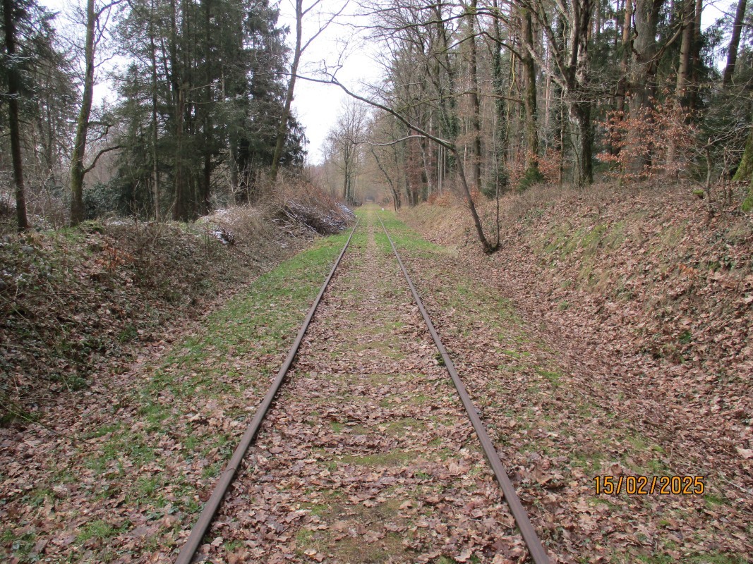 ZWNEGI10